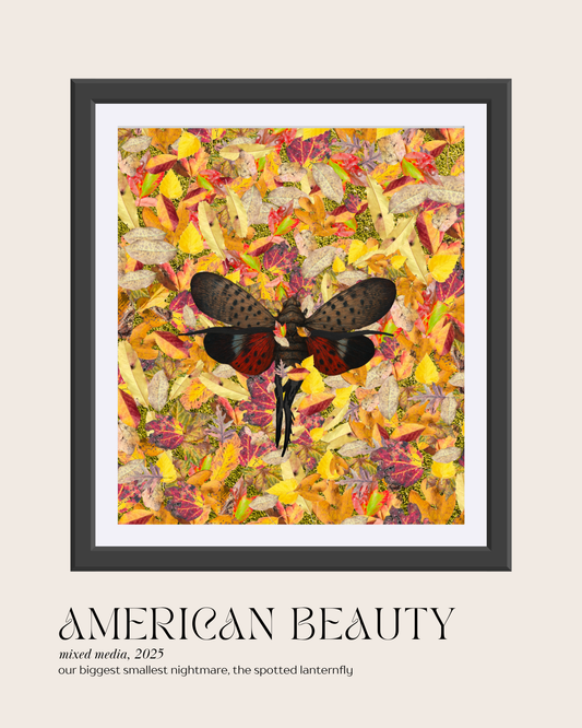 AMERICAN BEAUTY - art print / sticker / magnet